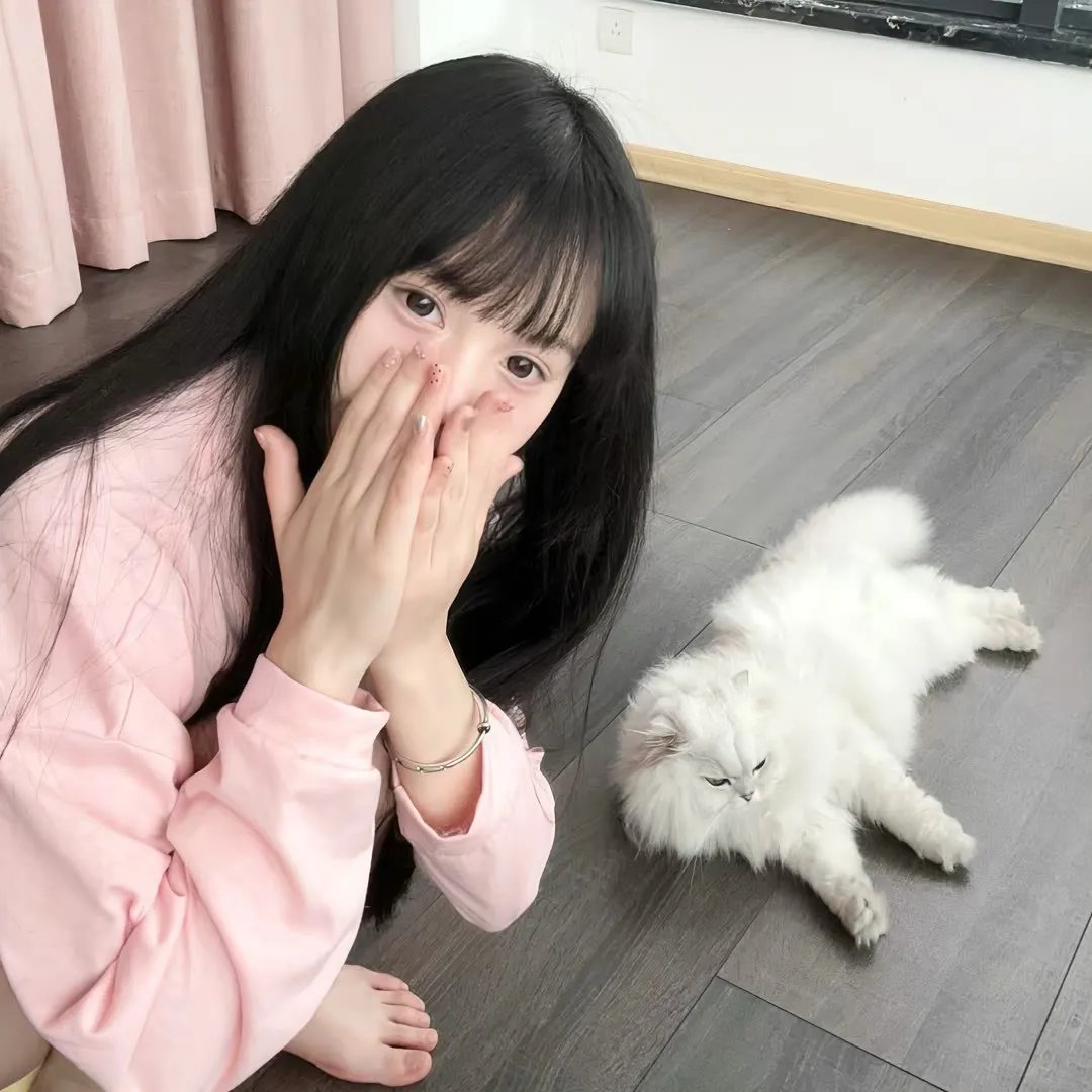 人类之巅